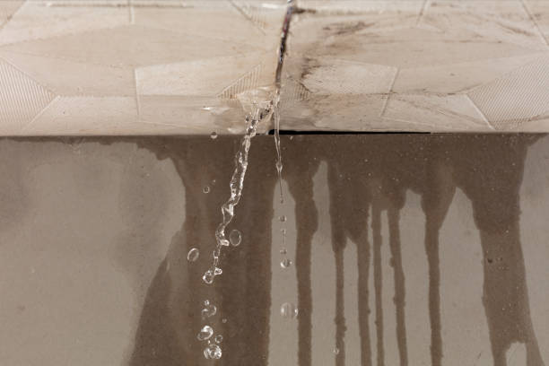 Professional Water Damage Restoration technician working in Altoona, IA